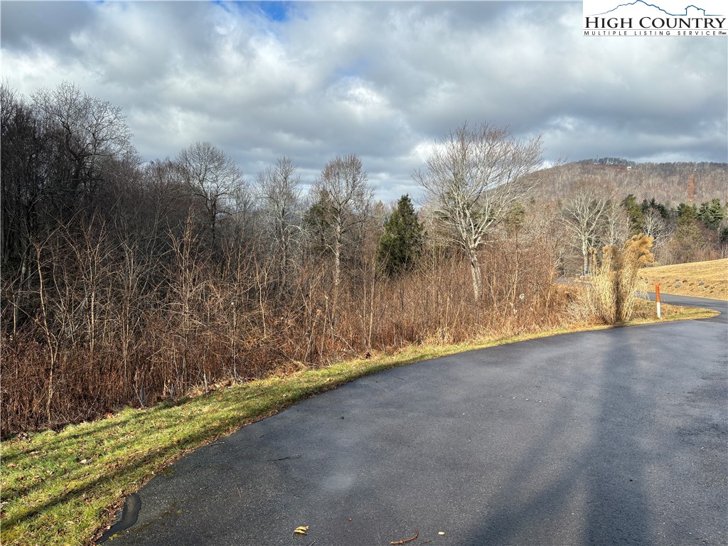 12-13 Gable Farm Road Boone, NC 28607 - Photo 8 of 9