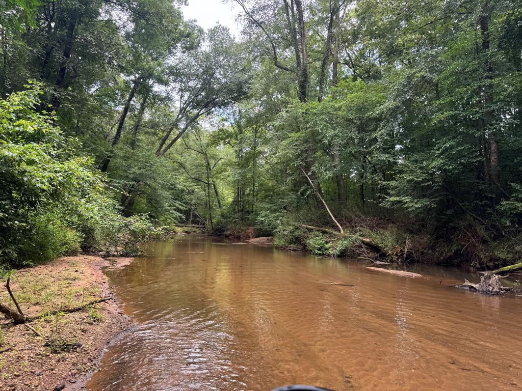 180.14 Johnson Mill Road Hamilton, GA 31811 - Photo 1 of 13 a view of a lake from a yard
