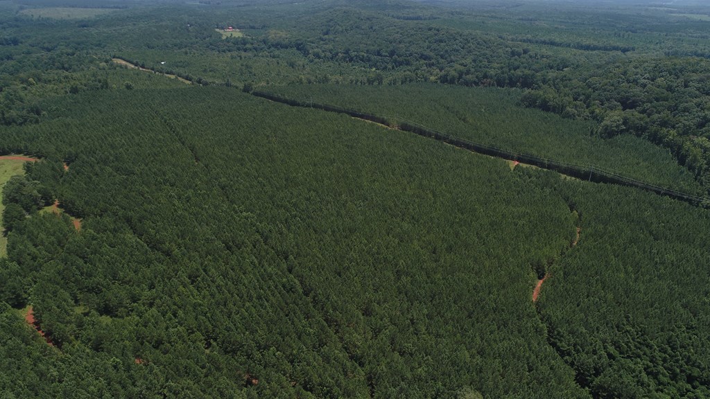 180.14 Johnson Mill Road Hamilton, GA 31811 - Photo 11 of 13 a view of a field of grass and car parked