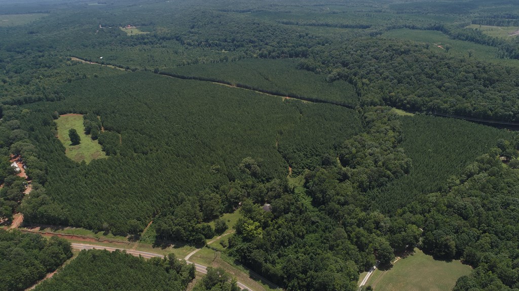 180.14 Johnson Mill Road Hamilton, GA 31811 - Photo 12 of 13 a view of a yard