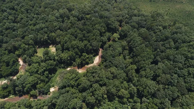 an aerial view of residential house with outdoor space and trees all around