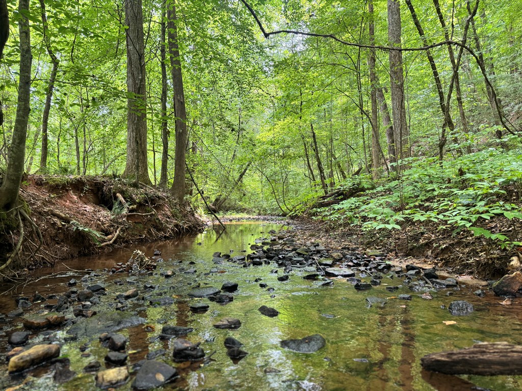 180.14 Johnson Mill Road Hamilton, GA 31811 - Photo 3 of 13 a bunch of trees and bushes