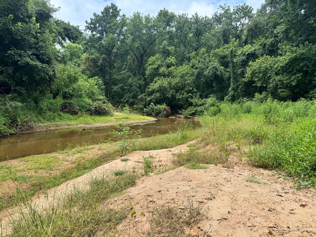 180.14 Johnson Mill Road Hamilton, GA 31811 - Photo 5 of 13 a view of a yard with a tree