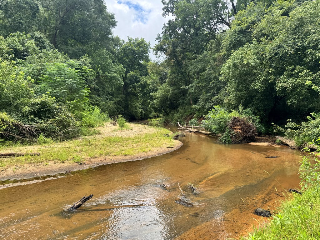 180.14 Johnson Mill Road Hamilton, GA 31811 - Photo 6 of 13 a view of an ocean view