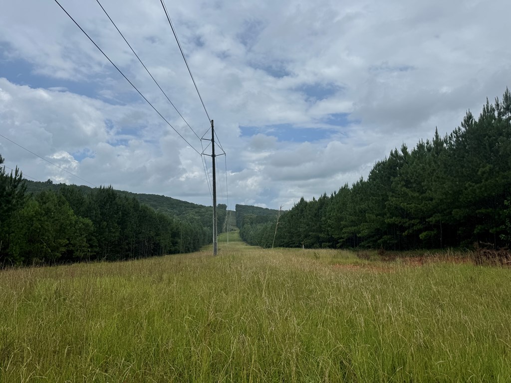 180.14 Johnson Mill Road Hamilton, GA 31811 - Photo 9 of 13 a view of a backyard