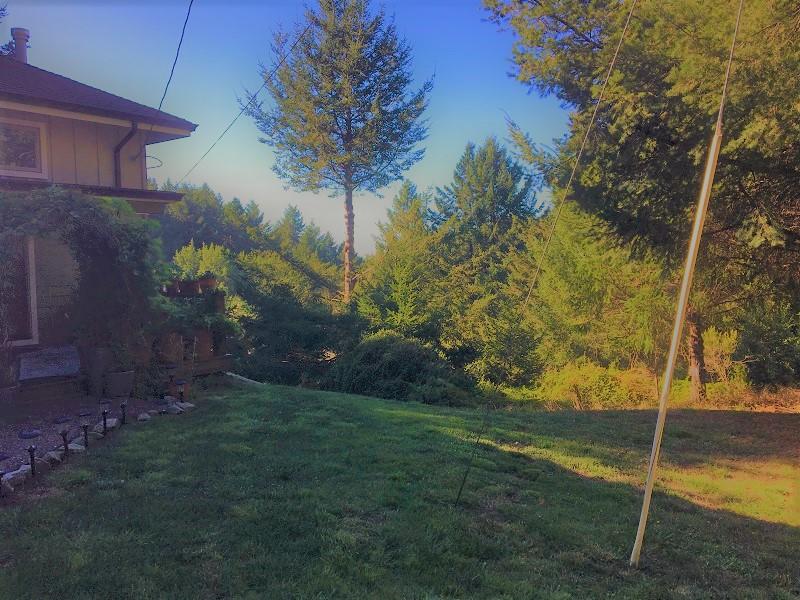 326 Ridge Road Whitethorn, CA 95589 - Photo 16 of 17