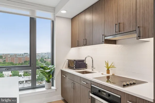 a kitchen with a stove and a potted plant