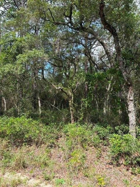 Tba Southwest Winding Hills Road Dunnellon, FL 34431 - Photo 1 of 3