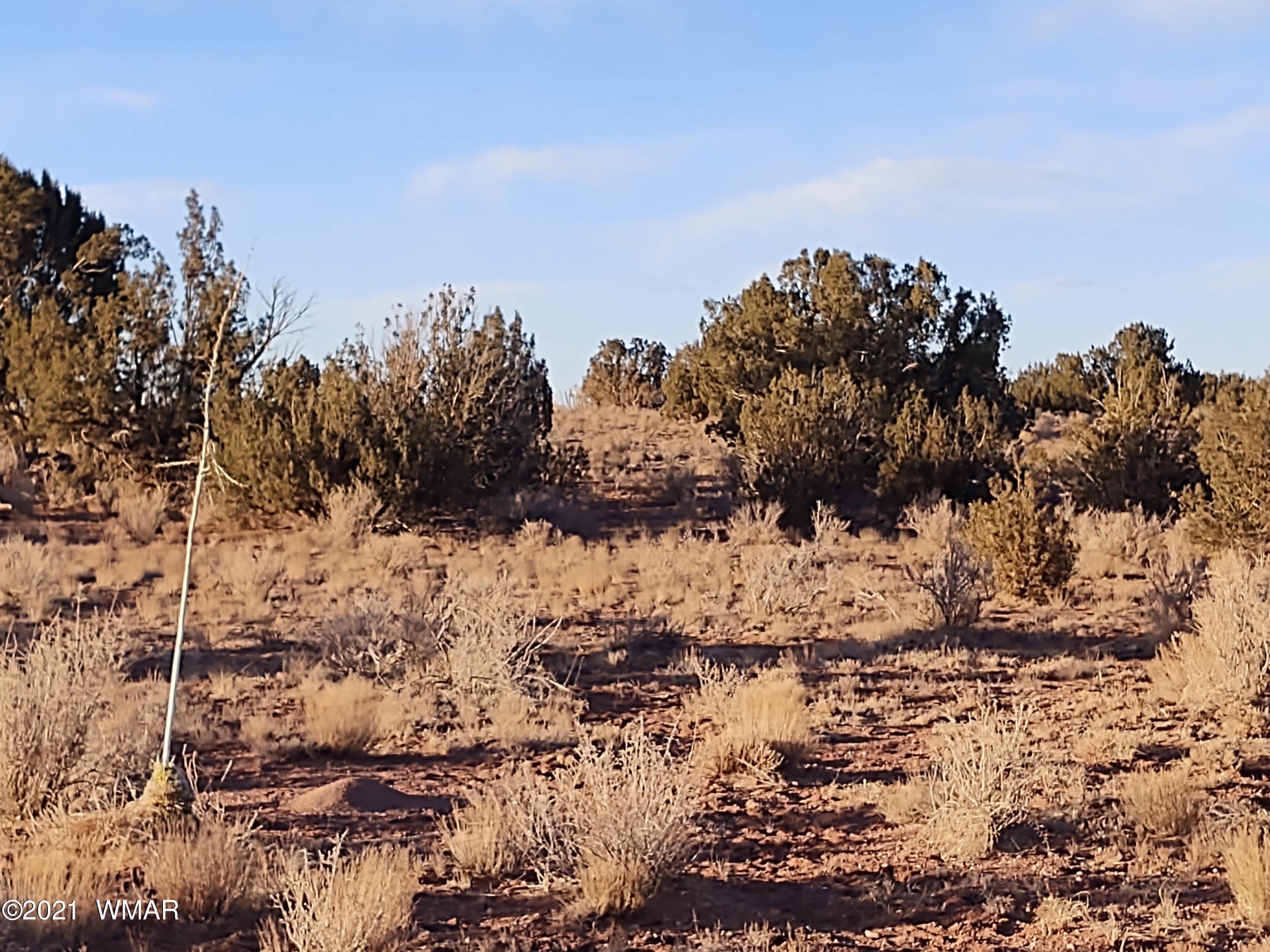 9 Zeniff Road, Unit 9 Snowflake, AZ 85937 - Photo 1 of 7