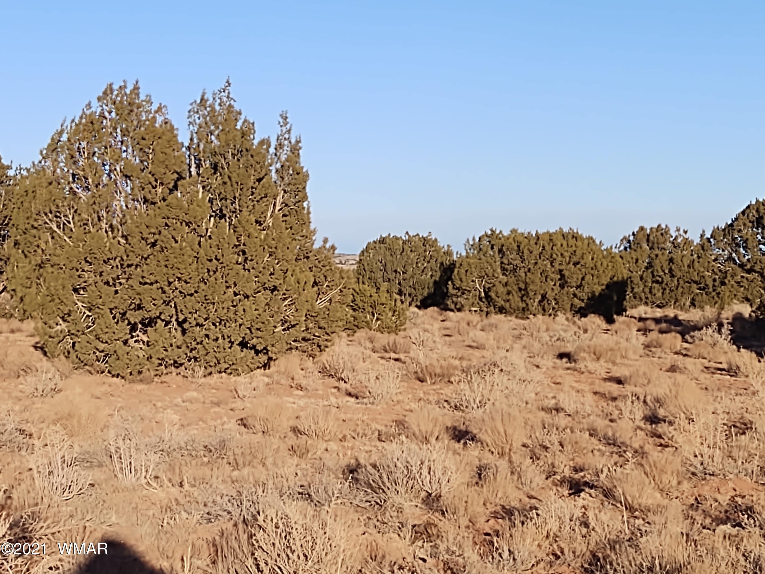 9 Zeniff Road, Unit 9 Snowflake, AZ 85937 - Photo 3 of 7