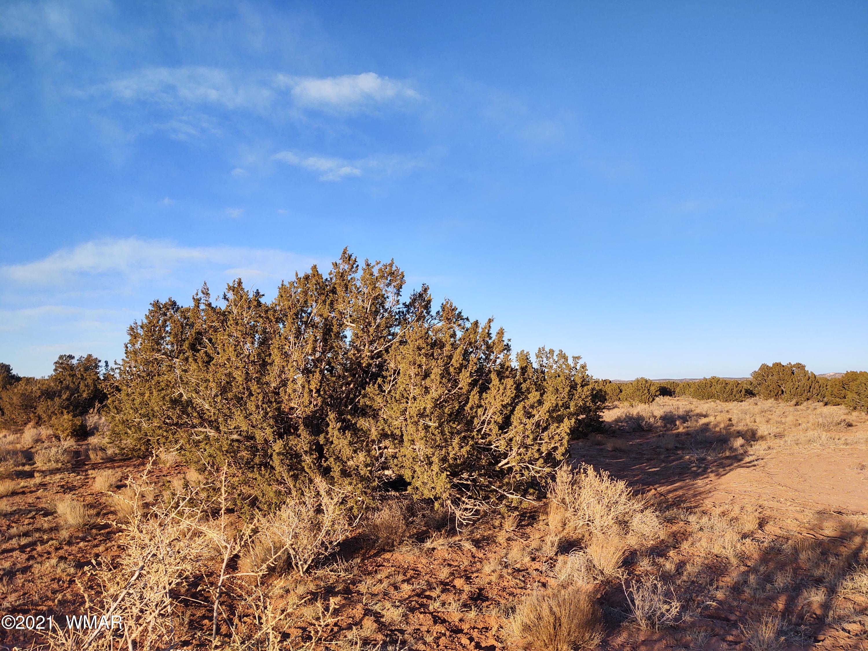 9 Zeniff Road, Unit 9 Snowflake, AZ 85937 - Photo 4 of 7