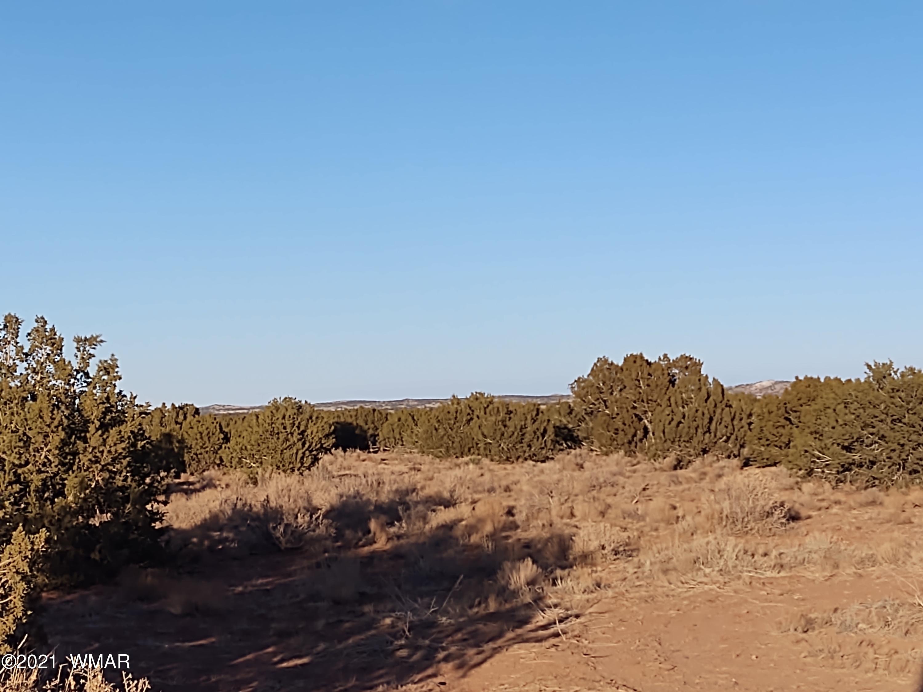 9 Zeniff Road, Unit 9 Snowflake, AZ 85937 - Photo 5 of 7