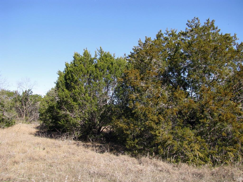 Lot 3-ph County Road 421 Evant, TX 76525 - Photo 9 of 27