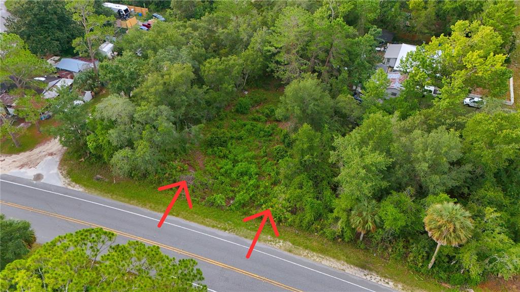 42 County Road Paisley, FL 32767 - Photo 6 of 8 Gallery Image 6