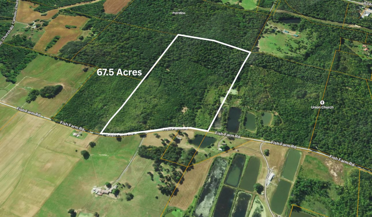 70 Fish Farm Road Golconda, IL 62938 - Photo 3 of 19