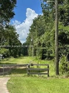 a view of a park with large trees