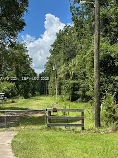 a view of a park with large trees