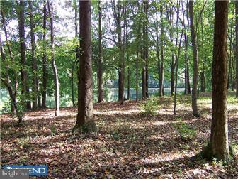 394 Friendship Road Mickleton, NJ 08020 - Photo 11 of 12 Gallery Image 11