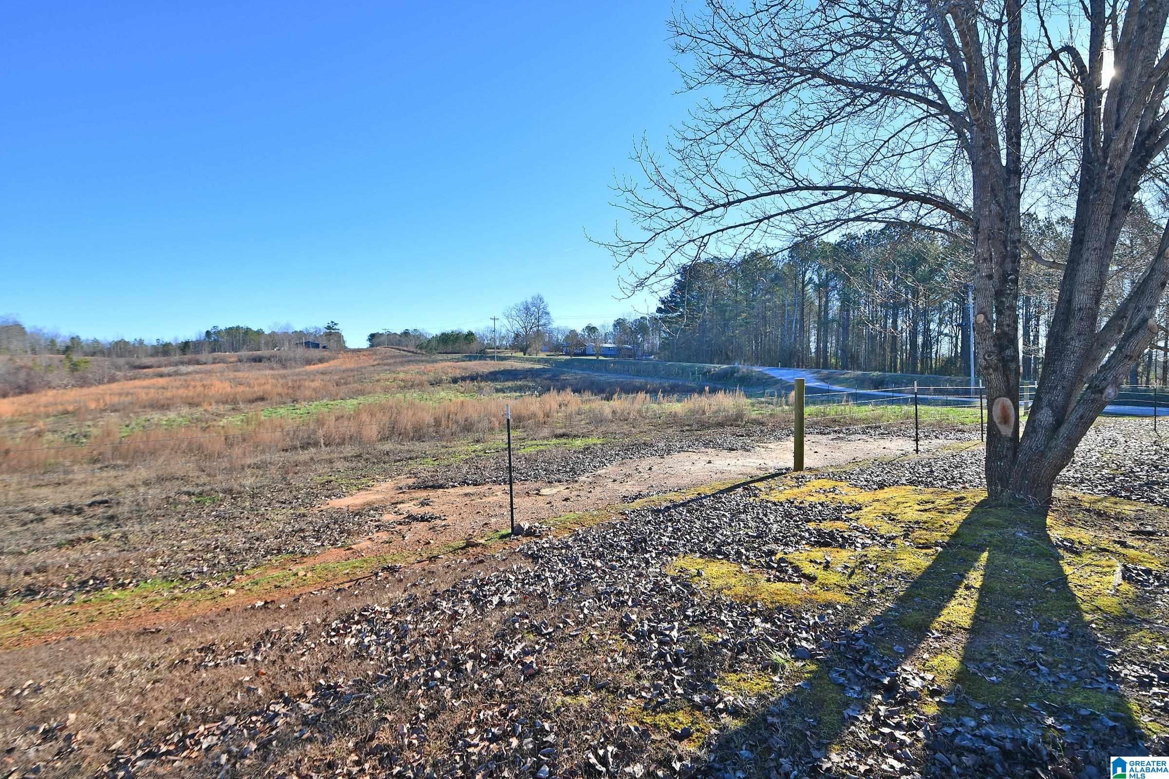 1442 Bluff Valley Road Cragford, AL 36255 - Photo 11 of 66