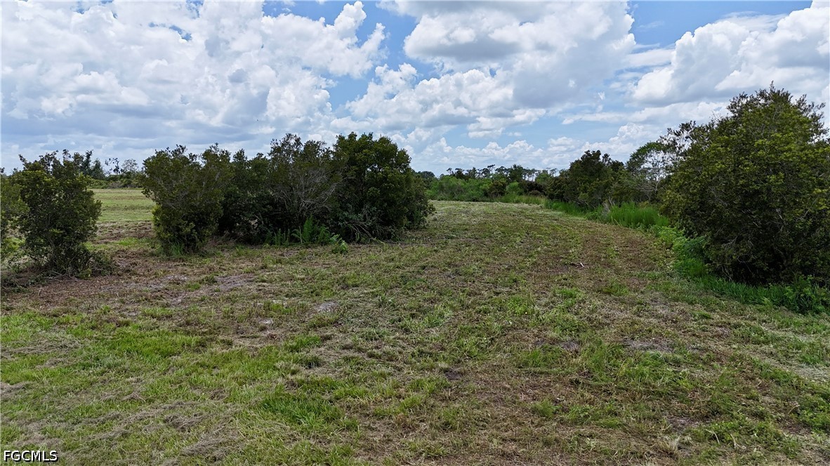 0 County Line Road East Bowling Green, FL 33834 - Photo 17 of 39 Gallery Image 17