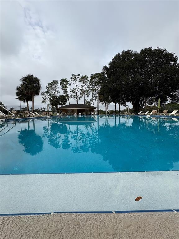 533 St Andrews Road Winter Haven, FL 33884 - Photo 44 of 47