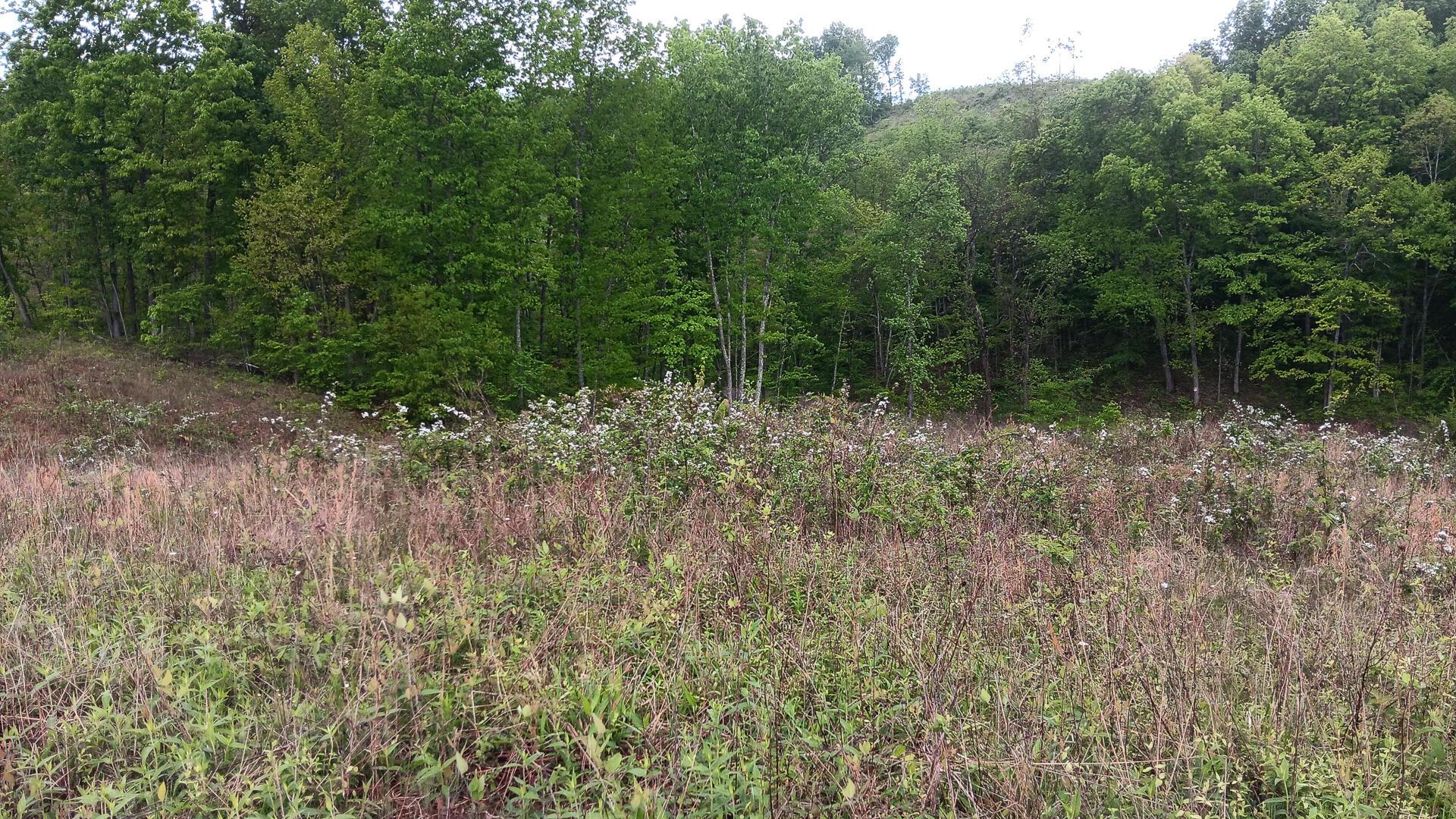 0 Hampton Hollow Road, Unit 7 ACRE TRACT) Langsville, OH 45741 - Photo 2 of 55