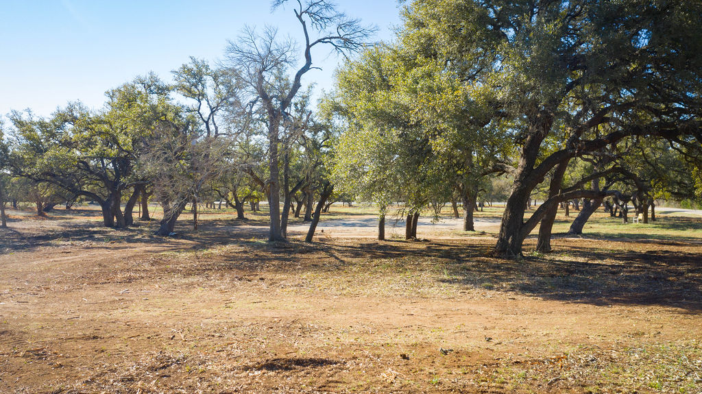 268 Kinnikinik Loop Austin, TX 78737 - Photo 14 of 23 a view of empty yard with trees