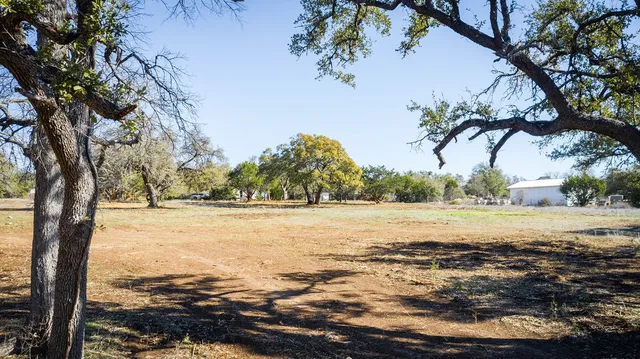 a view of dirt field with trees