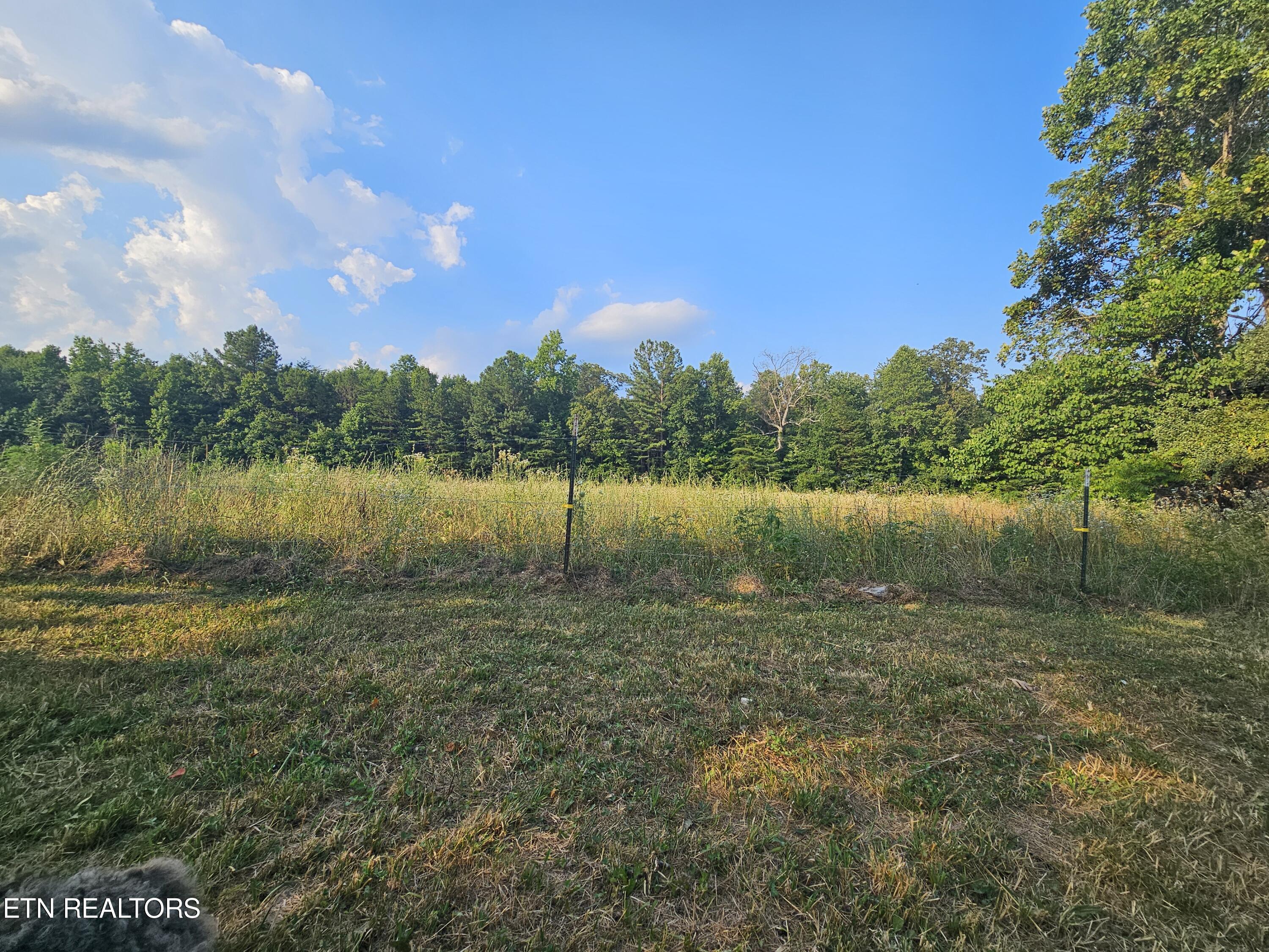 1669 Jeffers Road Huntsville, TN 37756 - Photo 3 of 44 20240715_184711