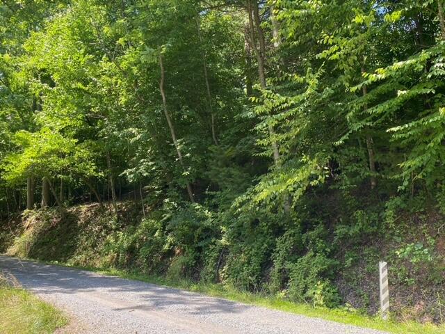 0 Wild Turkey Road Boones Mill, VA 24065 - Photo 32 of 36 IMG_7694