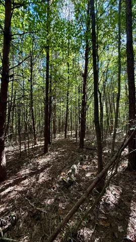 $41,800 | Oo Owl Hollow Road, Unit LOT 9, Palmer, TN 37365