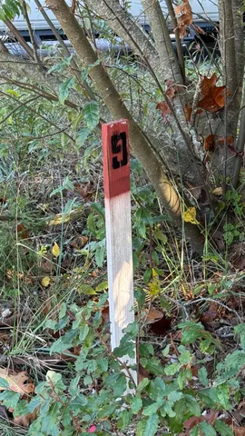 $41,800 | Oo Owl Hollow Road, Unit LOT 9, Palmer, TN 37365