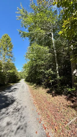 $41,800 | Oo Owl Hollow Road, Unit LOT 9, Palmer, TN 37365