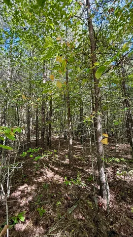 $41,800 | Oo Owl Hollow Road, Unit LOT 9, Palmer, TN 37365