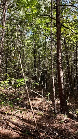 $41,800 | Oo Owl Hollow Road, Unit LOT 9, Palmer, TN 37365
