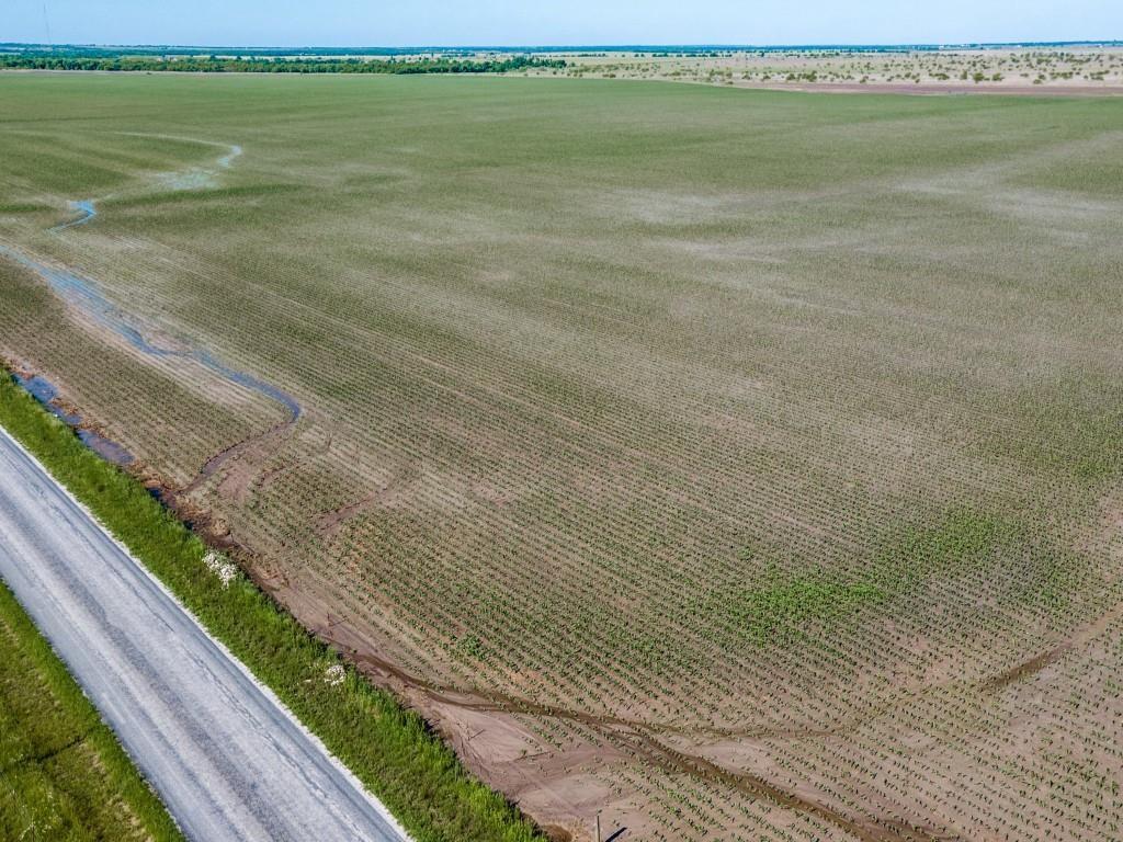 170 Wall Street Road Howe, TX 75459 - Photo 5 of 6