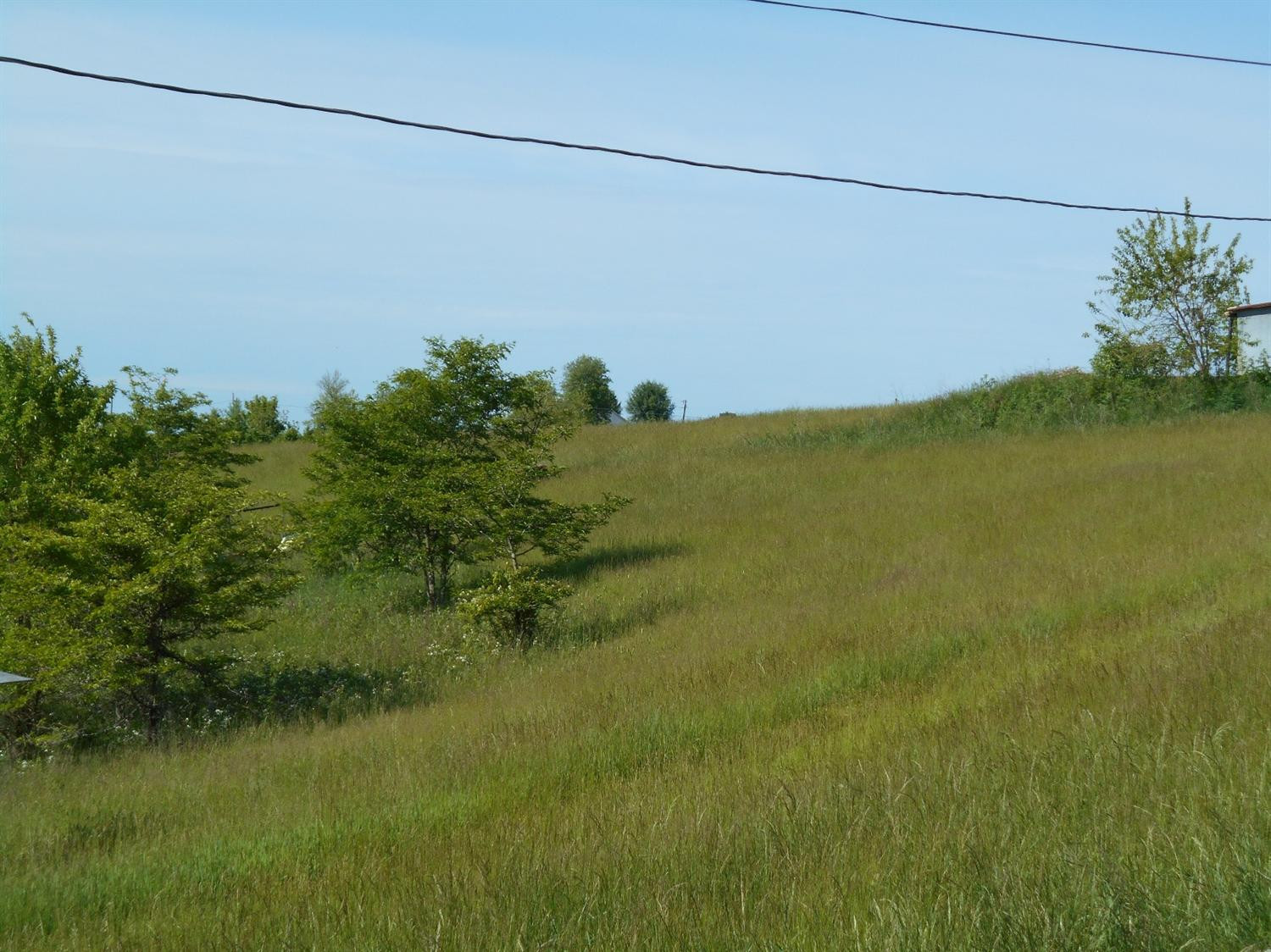 1435 Parina Road Brooksville, KY 41004 - Photo 9 of 11 Gallery Image 9