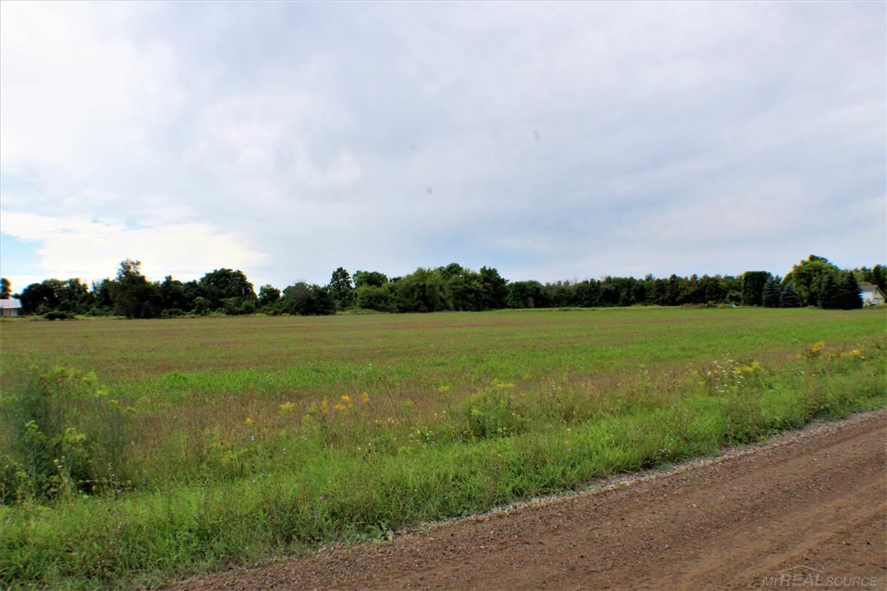 6604 Babcock Road Lexington, MI 48450 - Photo 49 of 50
