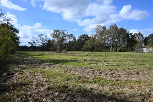 a view of a grassy field with trees in the background