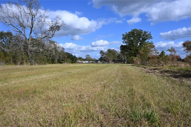 a view of a field with an trees