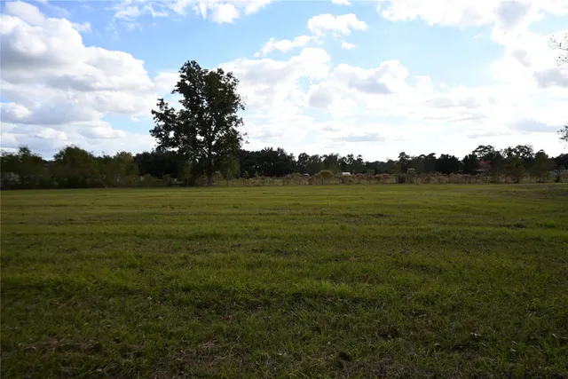 a view of a field with an trees
