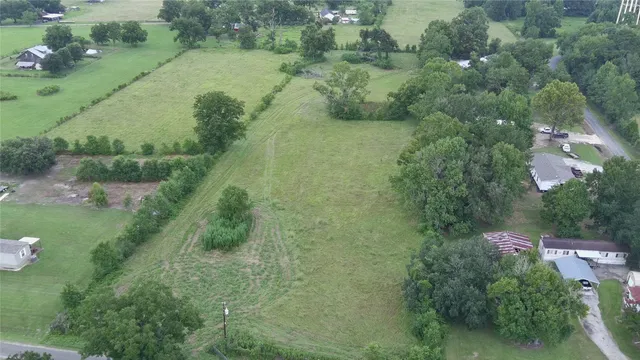 a view of a lush green forest with lots of trees