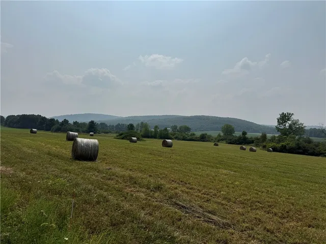 $79,000 | 0 Beaver Dams Moreland Road, Montour Falls, NY 14865