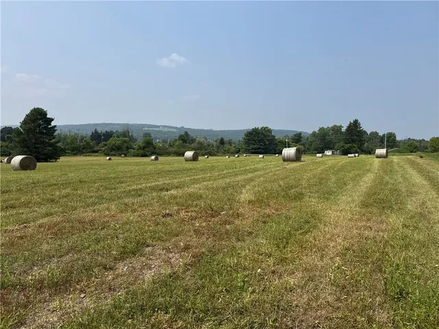 $79,000 | 0 Beaver Dams Moreland Road, Montour Falls, NY 14865