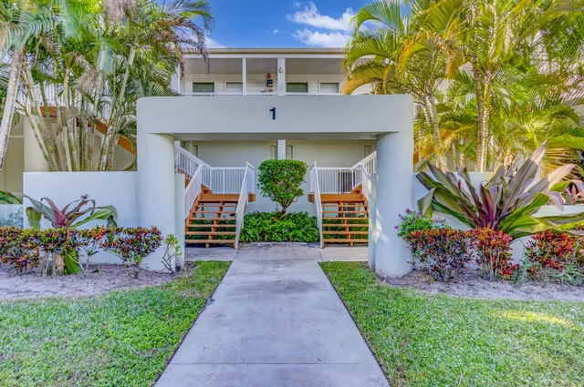 a view of a backyard with a tree