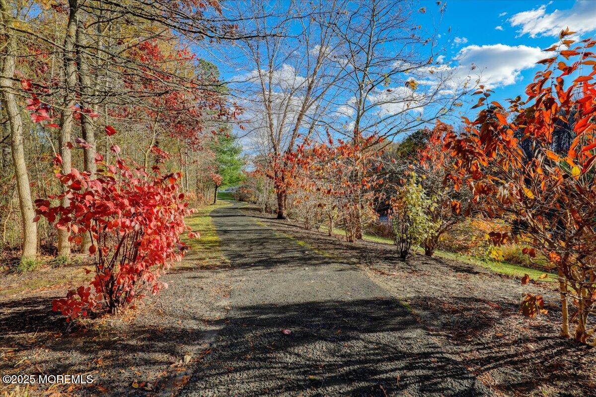 3205 Falston Circle Old Bridge, NJ 08857 - Photo 9 of 44 a view of a yard with plants and trees