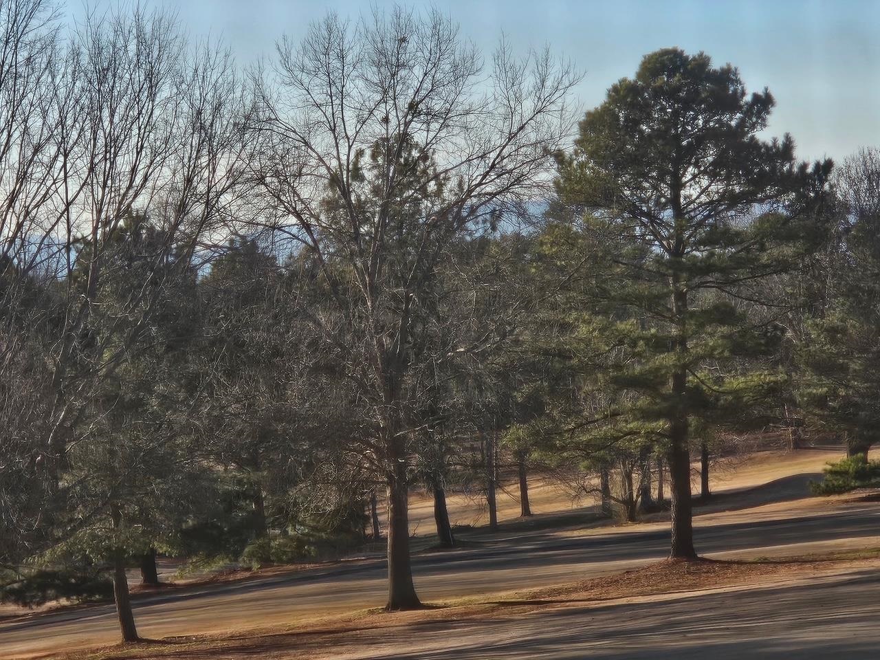 200 Sneeds Drive Inman, SC 29349 - Photo 45 of 48