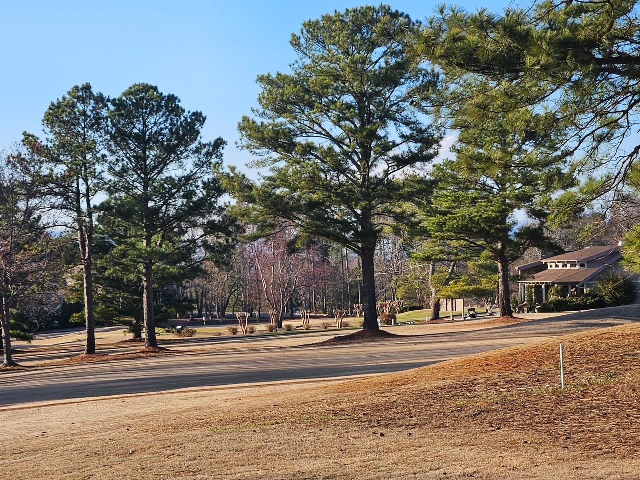 200 Sneeds Drive Inman, SC 29349 - Photo 46 of 48