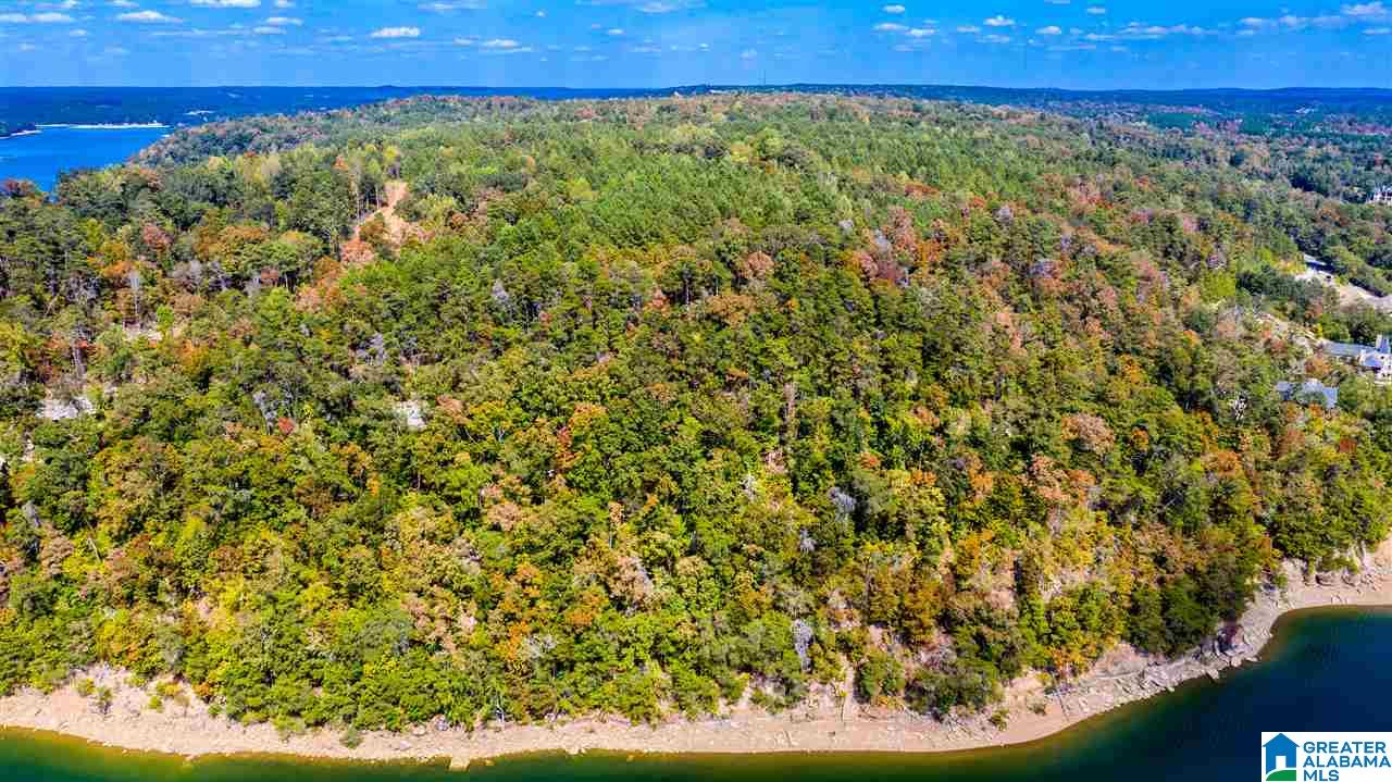 0 County Road 297 Cullman, AL 35057 - Photo 47 of 48