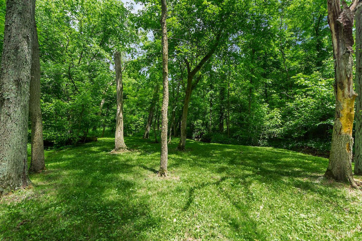 4941 State Rte 37 East Delaware, OH 43015 - Photo 138 of 153 Gallery Image 138